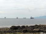 tree Vancouver Canada green water sky scenic ship ships shore