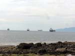 tree Vancouver Canada green water sky scenic ship ships shore