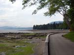 tree Vancouver Canada green water sky scenic ship ships shore paved trail