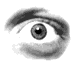 eyeball.gif (8965 bytes)