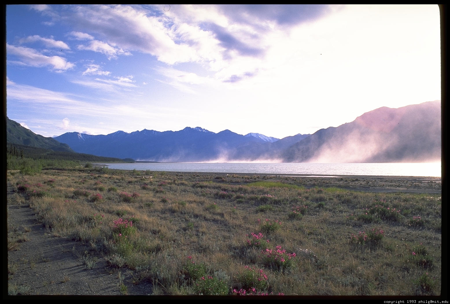 misty mountain top 2