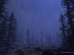 Dark forest
