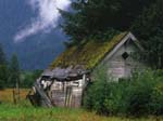 Shed in Field